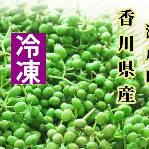 レシピ&サンプル&うまぶどう茶付き！2023年収穫瞬冷凍・うまぶどう果実【冷凍】プレゼントキャンペーン中！