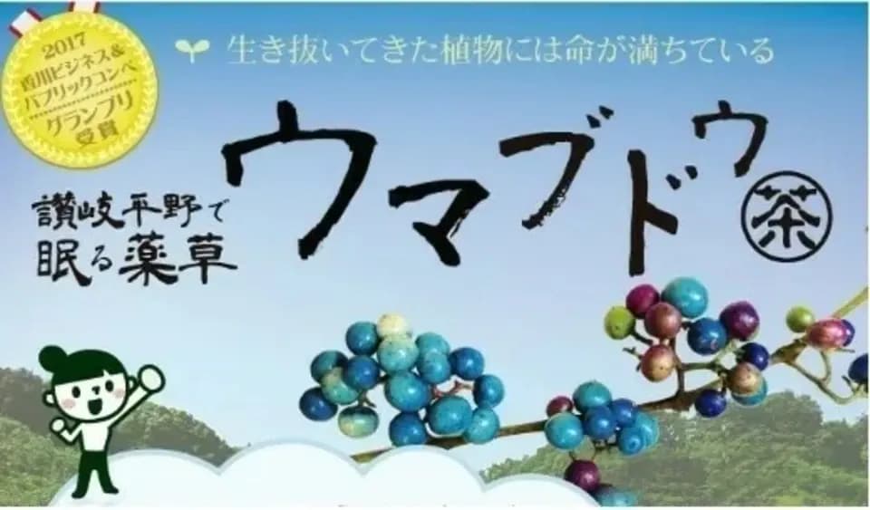 自然栽培★酵素が生きてる！ウマブドウ茶★お湯だし3分＆煮出しもOK! 独自の特殊加工を是非！！野ぶどう茶