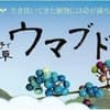 サムネイル 11