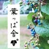 葉っぱ舎ロゴ