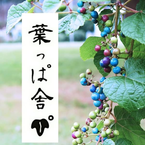 葉っぱ舎ロゴ