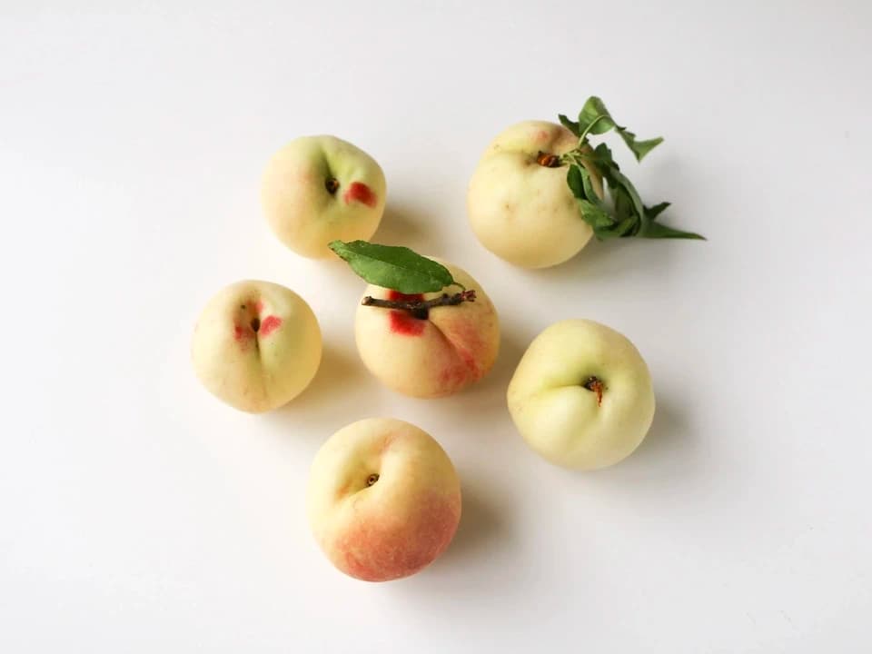 自然栽培の桃＜あかつき/日川白鳳＞農薬・肥料不使用で皮まで食べられる桃を静岡からお届け