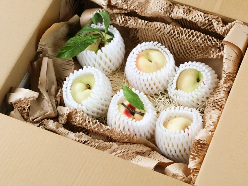 自然栽培の桃＜あかつき/日川白鳳＞農薬・肥料不使用で皮まで食べられる桃を静岡からお届け