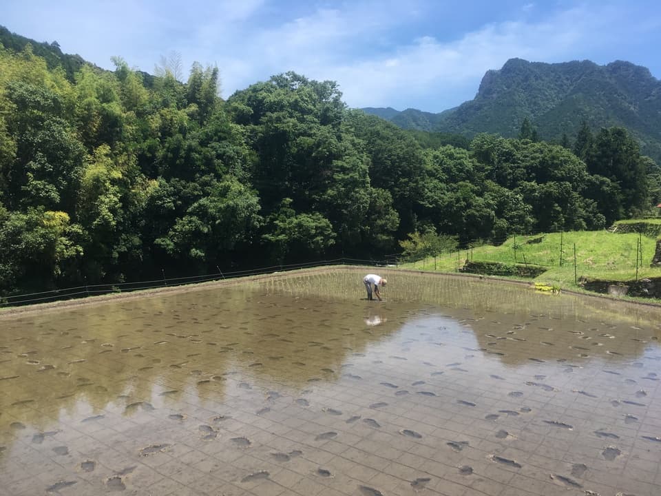 玄米揚げ餅（おかき）　100ｇ　「神楽　かぐら」化学調味料・保存料無添加
