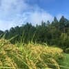 サムネイル 6