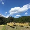 サムネイル 7
