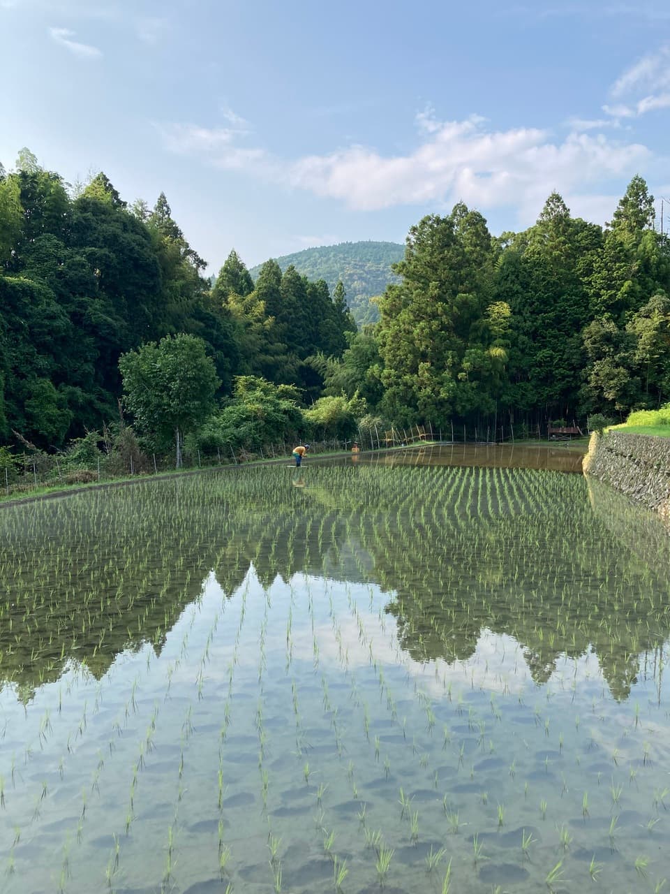 玄米揚げ餅（おかき）　100ｇ　「神楽　かぐら」化学調味料・保存料無添加