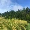 サムネイル 4