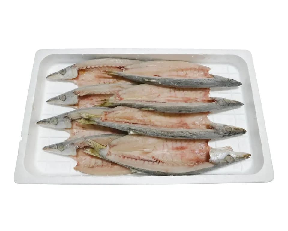 早瀬の箱売りひもの