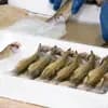 サムネイル 4