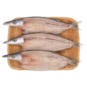 お皿からはみ出る大きなカマス(3枚セット)