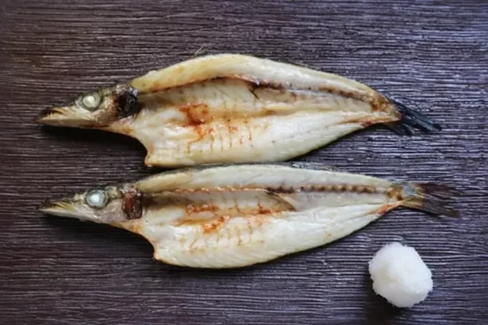 カマス