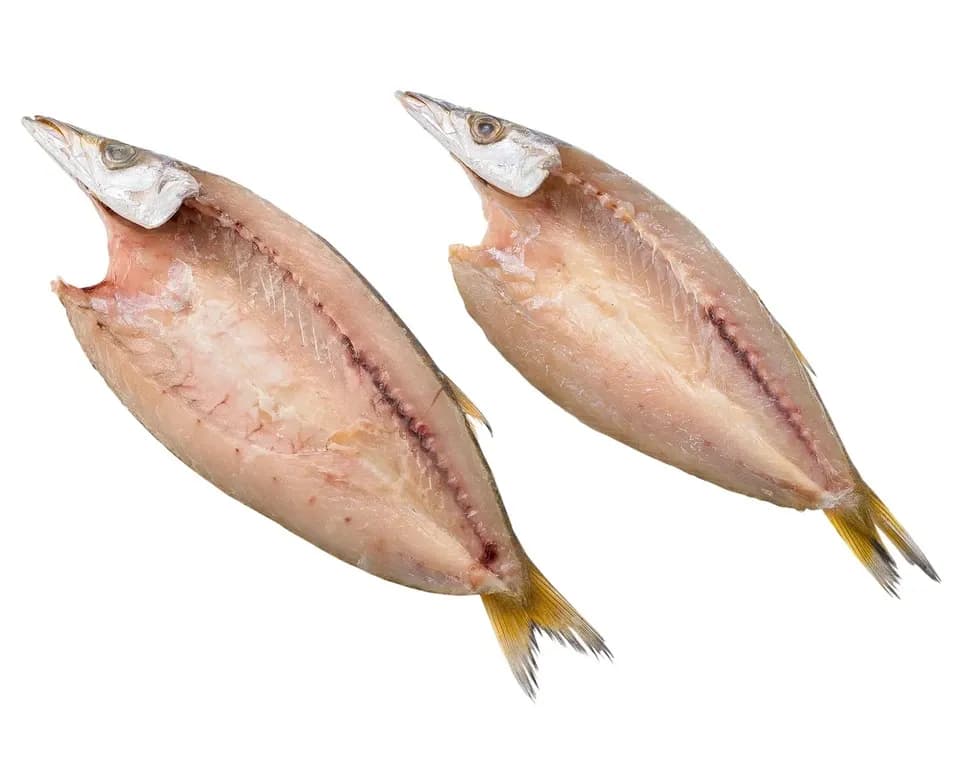 カマス