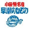 早瀬のひものロゴ