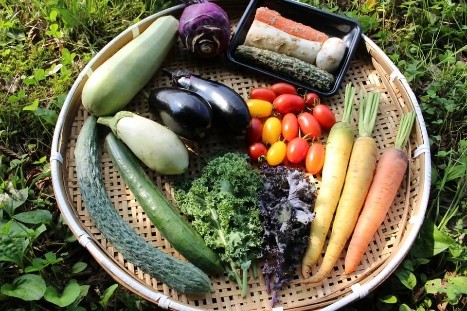 春夏お任せ野菜セット＋ぬかごと食べれるぬか漬けお任せ4種セット