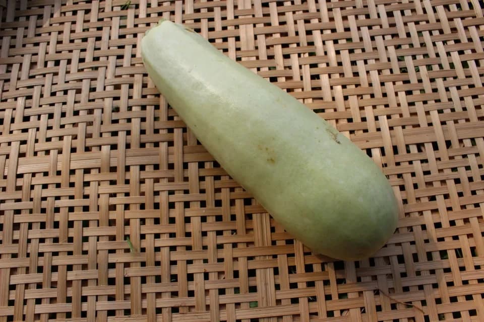 春夏お任せ野菜セット＋ぬかごと食べれるぬか漬けお任せ4種セット