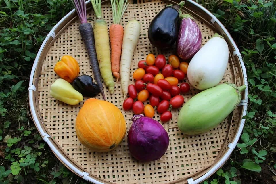 春夏お任せ野菜セット〈シンプル料理向け〉 Healthy Soil (茨城県産