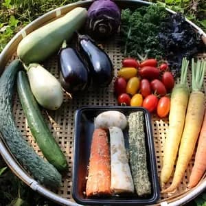 春夏お任せ野菜セット＋ぬかごと食べれるぬか漬けお任せ4種セット