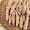 訳あり　サイズ混合5㎏