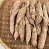 訳あり　サイズ混合10kg