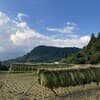 サムネイル 2