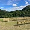 平和農園について