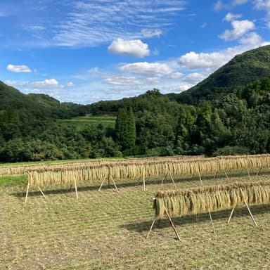 平和農園について