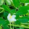 サムネイル 11