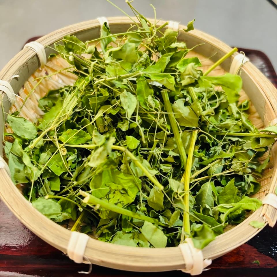 モリンガ蒸し　宮崎県産の無農薬・無化学肥料・無除草剤 モリンガ100％　モリンガハーブ　温浴　スチーム　スキンケア デトックス ダイエット 体質改善などに　モリンガ蒸し用　安心安全の国産品　　