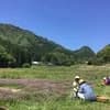 サムネイル 14