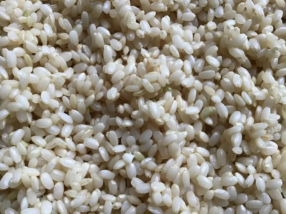 非加熱〈紅白生あま酒〉自然栽培米と天然水仕込み／火入れなし・麹菌そのまま