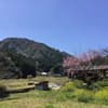 サムネイル 4