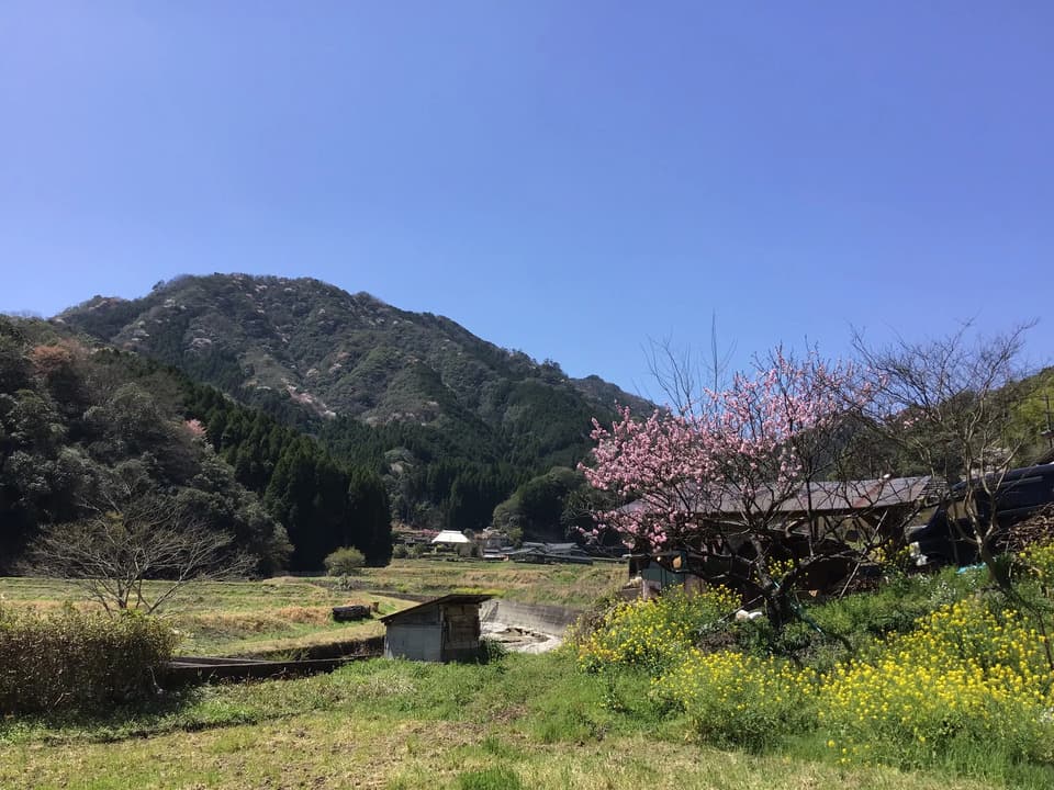 自然栽培・伝統製法仕込み＜黒千石大豆味噌＞芳醇な香りとコク深い味わい
