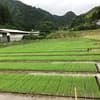 サムネイル 7