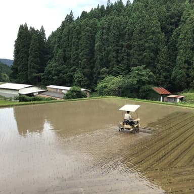 樋桶の郷 味噌工房について