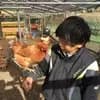 サムネイル 4