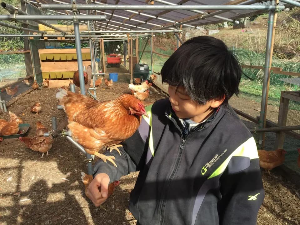 【２４個】広大な野っぱら放し飼い／有精卵「あめつちたまご」自家製発酵飼料／名水百選湧水／残留農薬不検出検査済