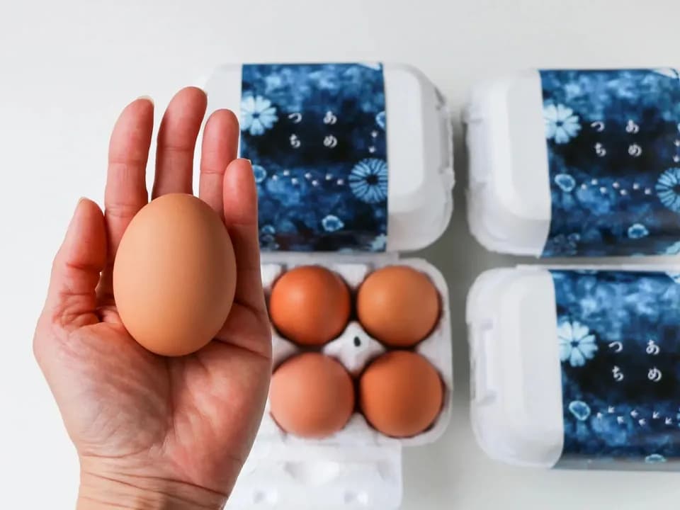 【２４個】広大な野っぱら放し飼い／有精卵「あめつちたまご」自家製発酵飼料／名水百選湧水／残留農薬不検出検査済