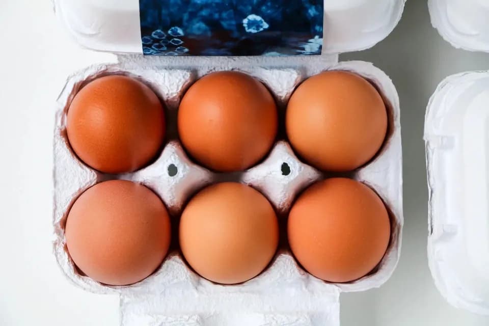 【２４個】広大な野っぱら放し飼い／有精卵「あめつちたまご」自家製発酵飼料／名水百選湧水／残留農薬不検出検査済