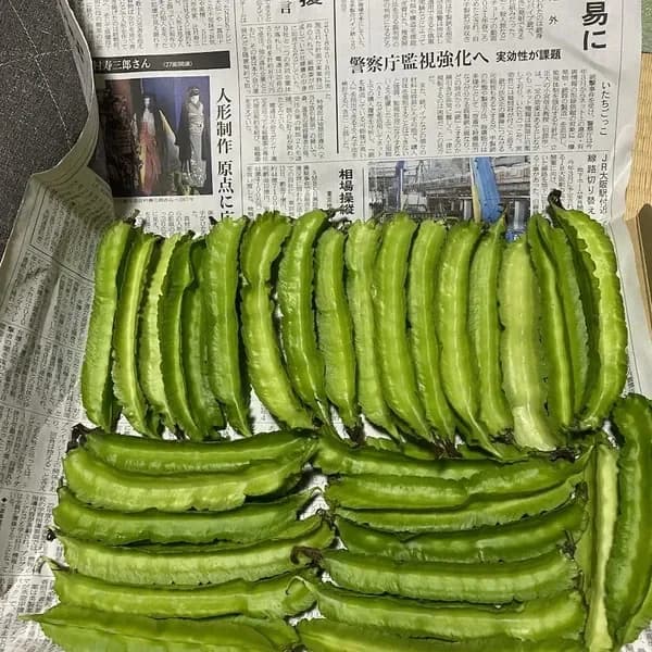 四角豆のみ
