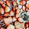 サムネイル 8