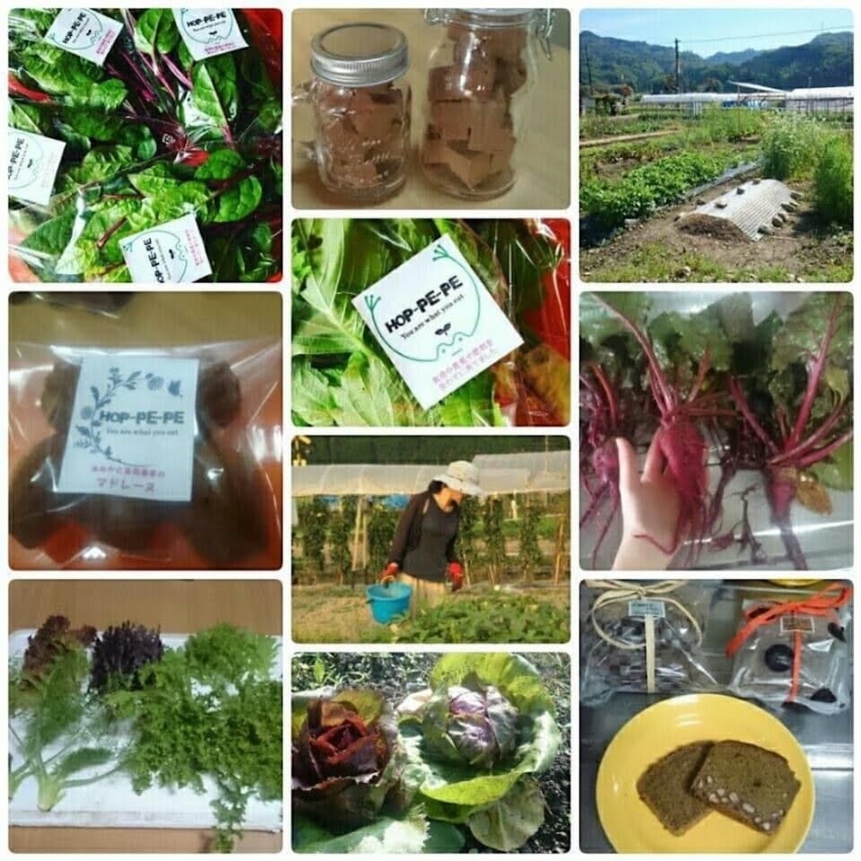《グルテンフリー》農薬・肥料不使用の荏胡麻とドライイチゴのプレミアムグラノーラ