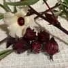 サムネイル 8