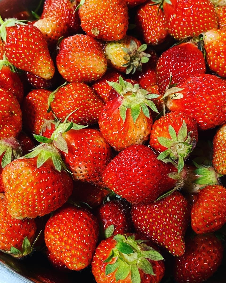 酵素が生きたまま！？《農薬・肥料不使用》ドライイチゴ