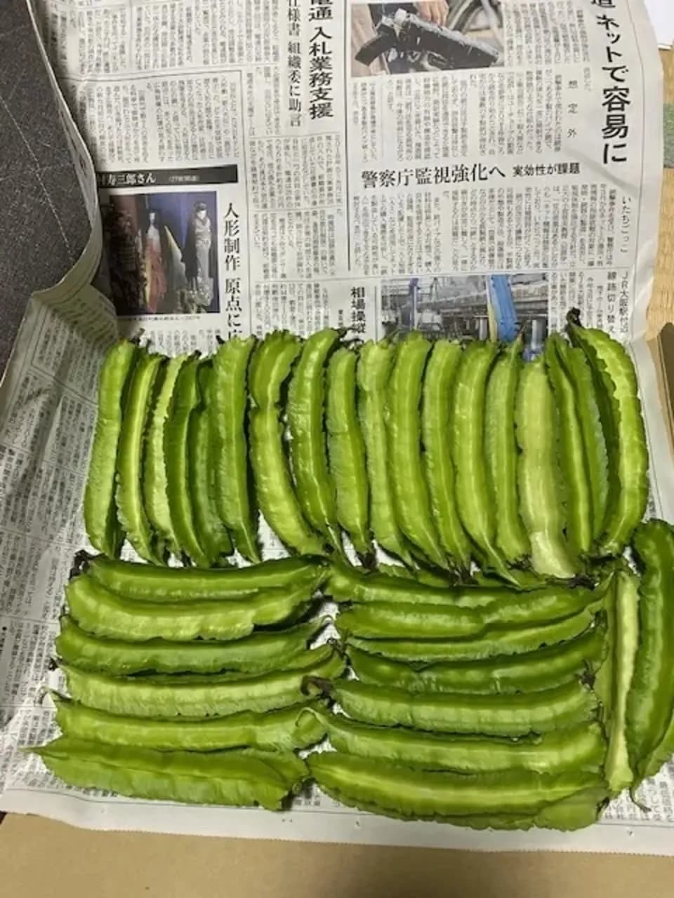 《農薬・肥料不使用》四角豆　　　四角豆とオクラ同梱