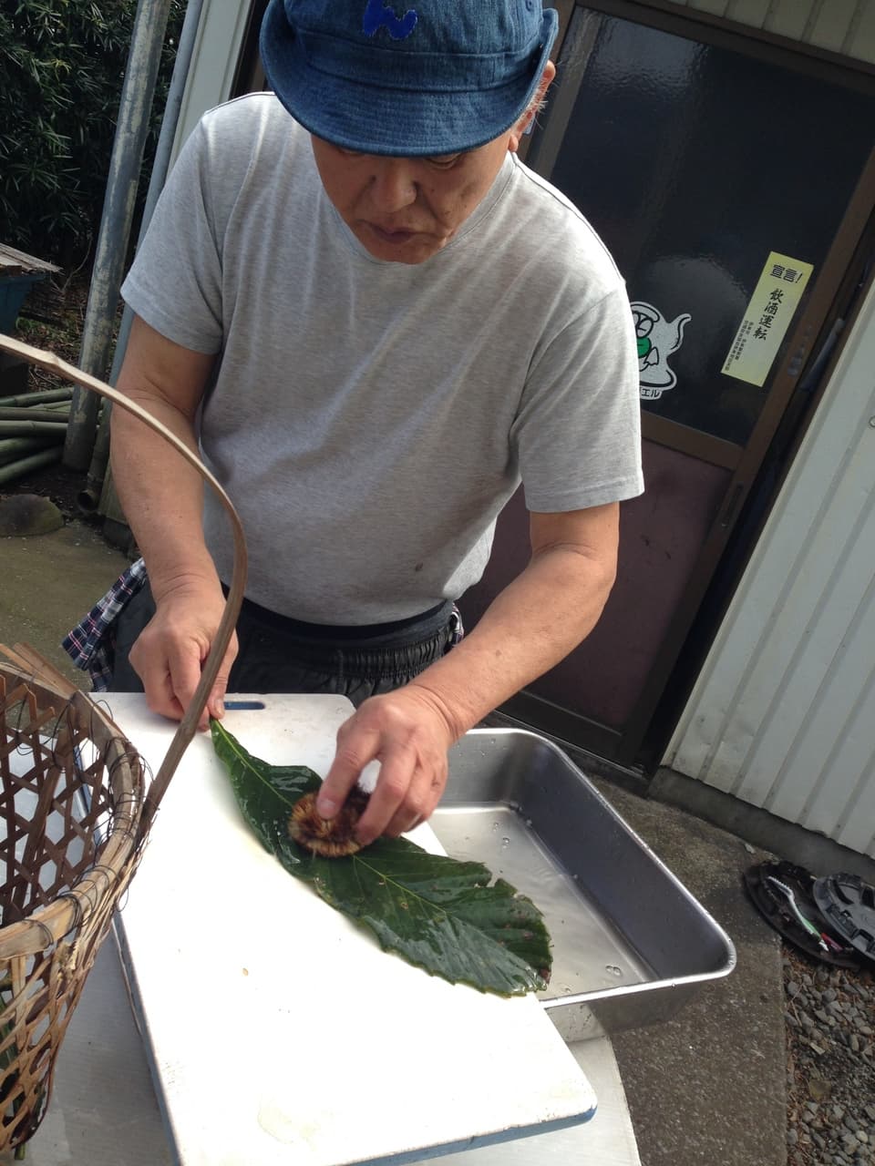完全天日干し 白びわの葉