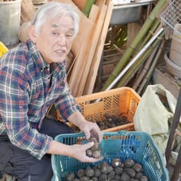 ホリヨシプロフィール画像