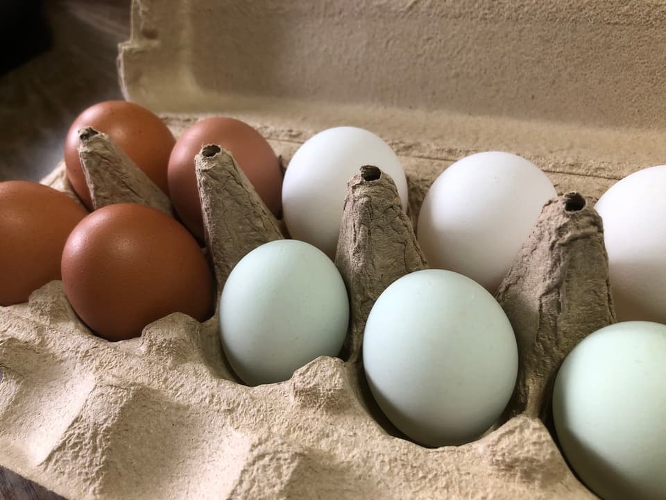 「みんなのたまご」 3色カラフルな平飼い卵の詰め合わせ