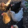 サムネイル 5