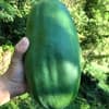 サムネイル 1